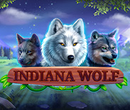 Indiana Wolf